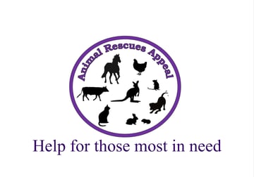 Animal Rescues Appeal