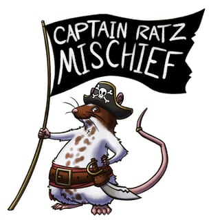 CAPTAIN RATZ MISCHIEF - Rat Breeder, Mouse Breeder - Gold Coast, QLD 