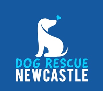 Dog Rescue Newcastle