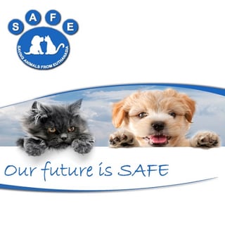 Safe Bunbury - Pet Rescue, Pet Adoption - Bunbury, WA