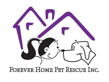 Forever Home Pet Services - Pet Rescue, Pet Adoption -  NSW