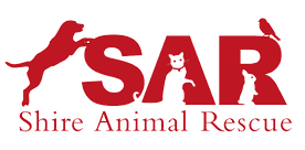 Shire Animal Rescue - Sutherland Shire