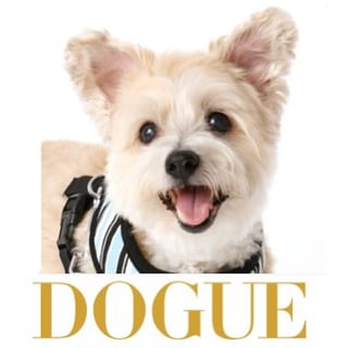 Dog Grooming, Doggie DayCare, Dog Boutique, Puppy School Zetland - DOGUE Zetland