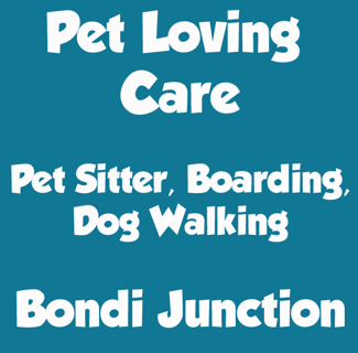 Pet loving care - Pet Boarding, Pet Sitter, Doggy Day Care, Dog Walking - Bondi junction