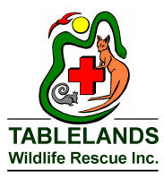  Tablelands Wildlife Rescue - Atherton Tablelands