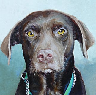 Painted Pets - Animal Portraits by Suzy King - Sydney