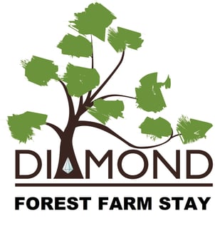 Diamond Forest Farm Stay - South West, Western Australia - WA