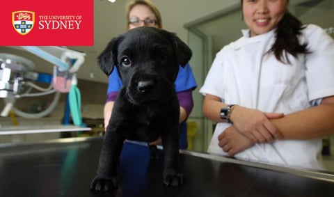 University of Sydney Faculty of Veterinary Science