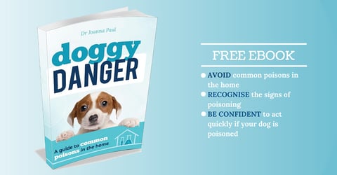 Doggy Danger - A free ebook