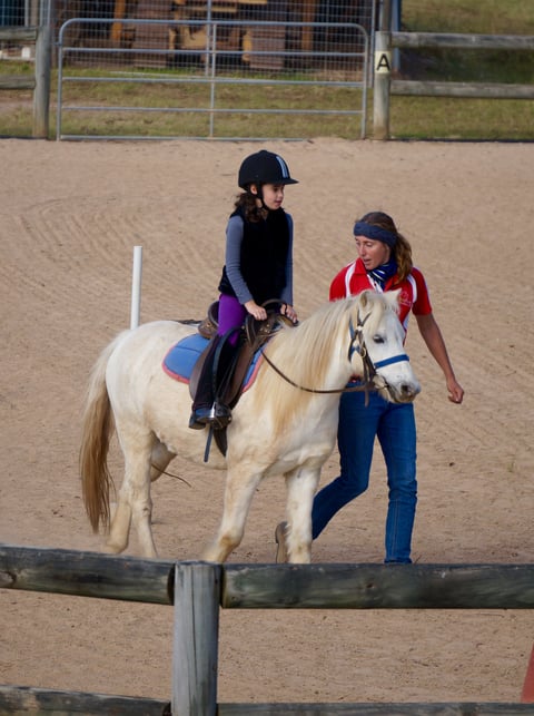 Horse riding lessons