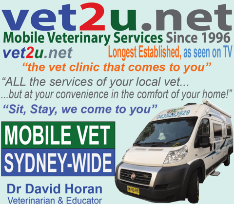 Vet2U Mobile House Call Vet - Sydney