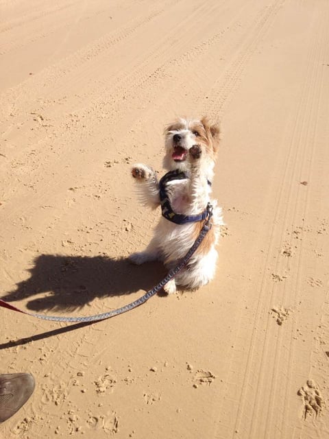 Calleigh Paddy enjoying the beach 