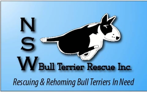 NSW Bull Terrier Rescue Inc.