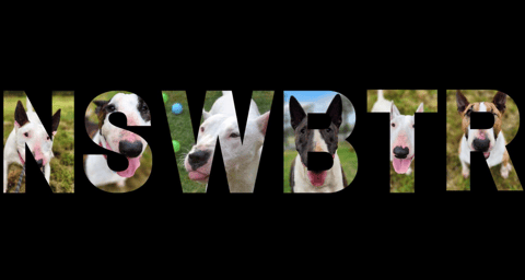 NSW Bull Terrier Rescue Inc.