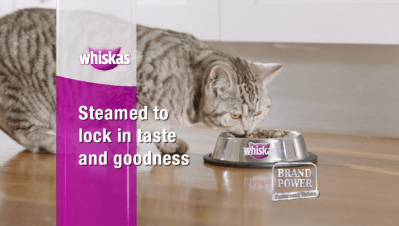 Elisheba in the Whiskas TV commercial