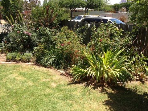 Garden at Paringa Cottage, Echuca - Pet Friendly A