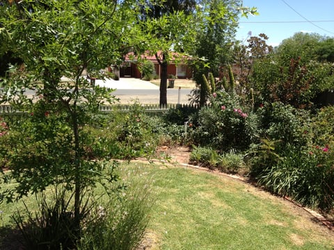 Garden at Paringa Cottage, Echuca - Pet Friendly A