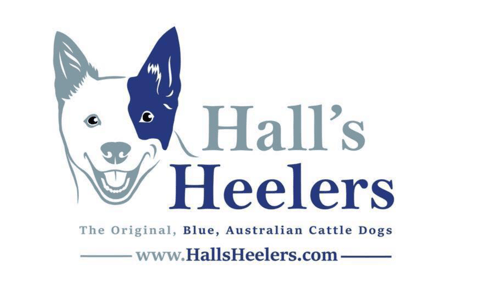 Hall's Heelers : The Original, Blue, ACD's