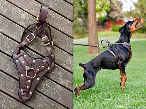 Ruthless Leather - Dog Collars and Leads