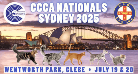 NSW Cat Fanciers Association - NSWCFA