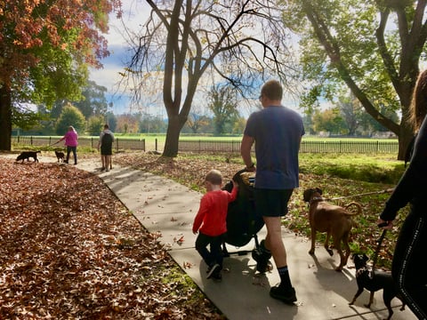 Griffith pram friendly walk