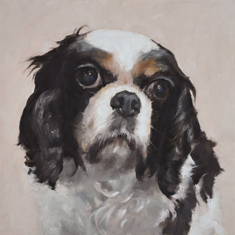 Pet portrait painting