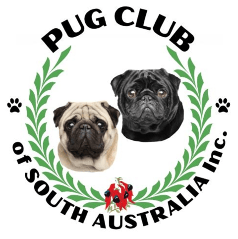 The Pug Club of South Australia