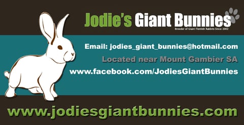 https://www.facebook.com/JodiesGiantBunnies/