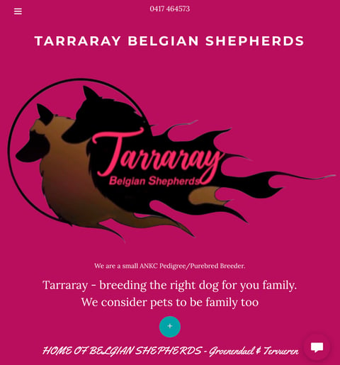 Tarraray Belgian Shepherds