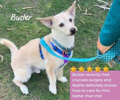 Buster, such a sweet and smart but anxious boy