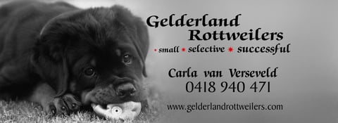 Gelderland Rottweilers