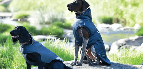 WeatherBeeta - Rugs & Coats for Dogs