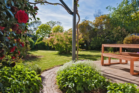 Darling Cottage - Fully Fenced Garden