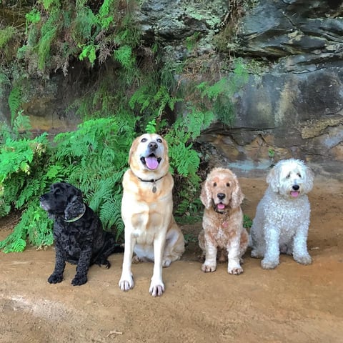 A fun group walk adventure in Queens Park