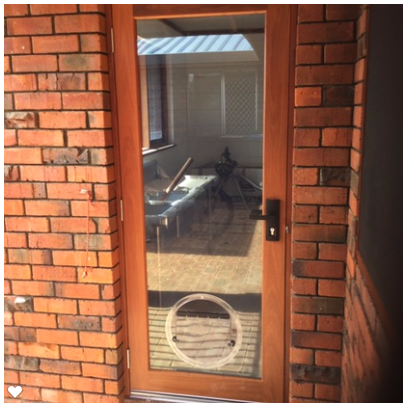 Pet Door in Timber Door