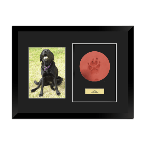 Framed Clay Paw Print / 8*10 Photo / Engraved Plaq