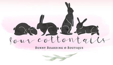 Four Cottontails 