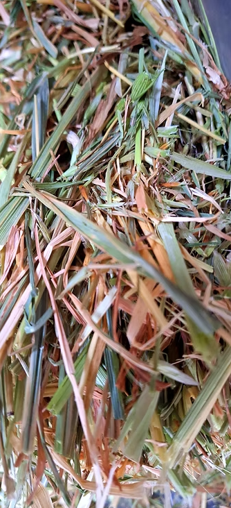 Oaten hay