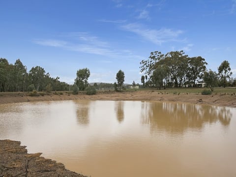 Dam for swimming