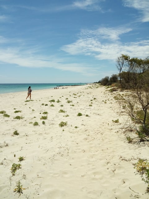 the beach in front of the home