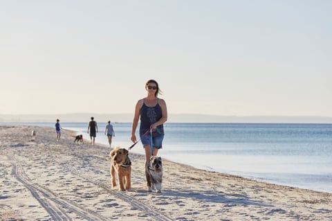 Off the leash dog beach only 150m away 