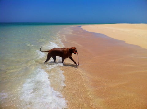 Not a sole around - Ningaloo Beaches