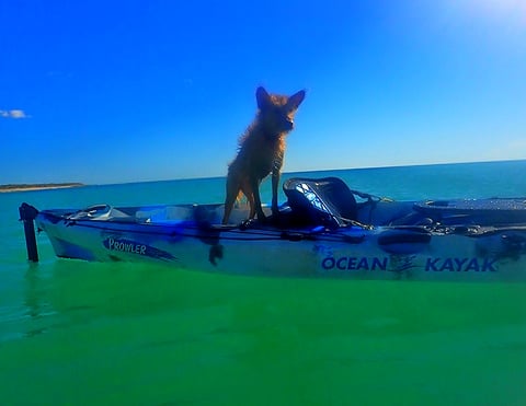 Honey on her kayak at Wobiri Beach