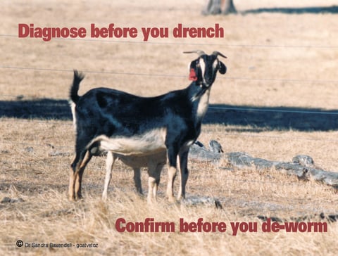 Diagnose before you deworm