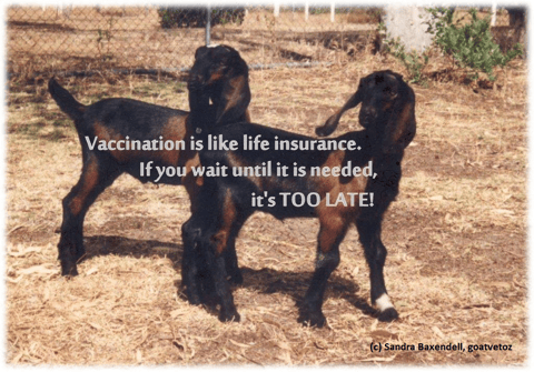 Vaccinate before it is too late