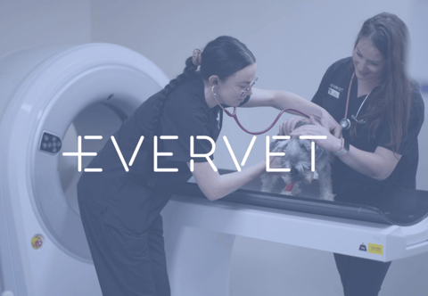 Evervet South Yarra