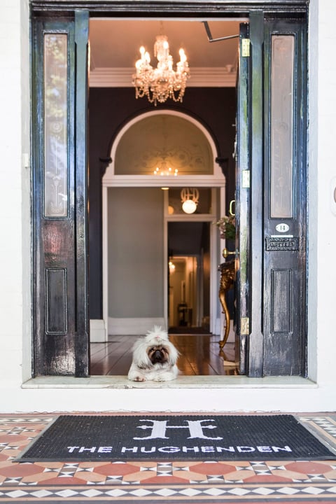 Sydney's Premier Pet Friendly Hotel