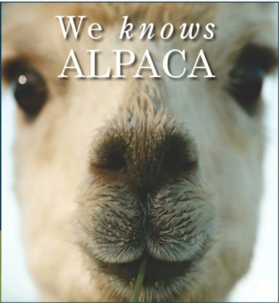 We Know Alpacas!!! 