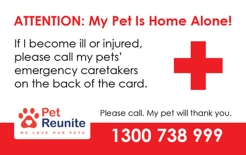 Home Alone Pets card