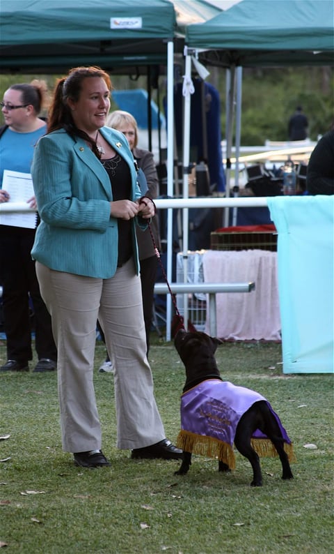 Hattie Res Best Female In Show 